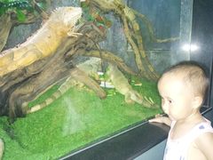 -芽庄珍珠岛游乐园