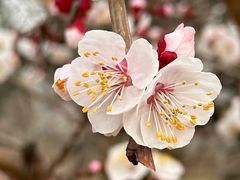 -鹫峰国家森林公园