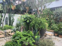 -自由生长植物工作室(深港花卉中心店)