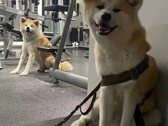 -YCHL Studios健身工作室(市二宫店)