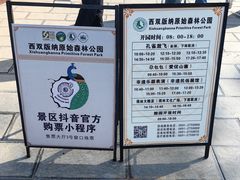 -西双版纳原始森林公园