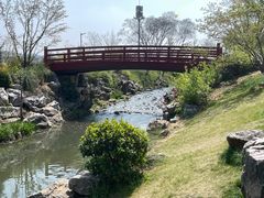 -羊山湖公园