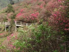 -木兰云雾山
