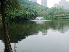 -重庆彩云湖湿地公园