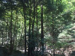 -太湖源风景区