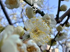 -静安雕塑公园