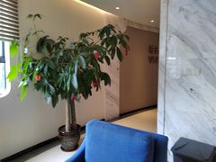 -柏乐口腔医院·舒适化无痛种植牙中心(东盟商务区院)