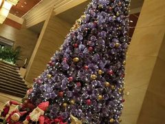 -松山湖凯悦酒店·Café自助餐厅·周末火舞秀表演