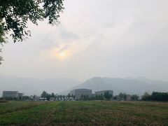 -大自然农场蔬菜草莓采摘园