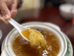 海参花胶特大鱼翅-添發碗仔翅美食