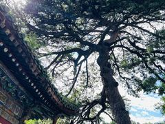 -潭柘寺景区