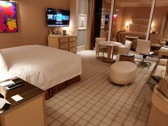 -拉斯维加斯永利酒店