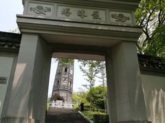 -上海佘山国家森林公园天马山园