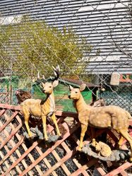 -萌宠亲子动物乐园(槐房万达店)