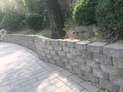 -紫竹院公园冰场