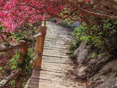 -木兰云雾山