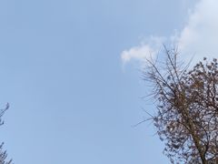 -山城巷传统风貌区