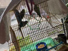 -草原塞蛮羊火锅城(港湾店)