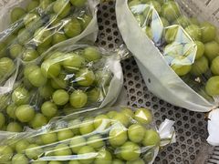 -马陆小张葡萄园农家乐