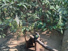 -九龙公园
