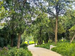 -泰山风景名胜区-虎山公园