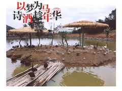 -泉州海丝野生动物世界