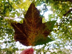 -常熟路(地铁站)