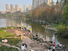 -重庆彩云湖湿地公园