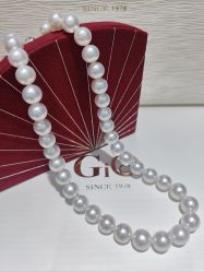 -GiO挚澳珠宝(侨福芳草地店)