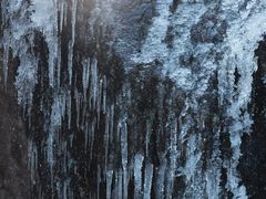 -东白山