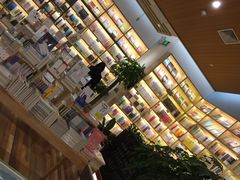 -猫的天空之城概念书店(印象城购物中心店)