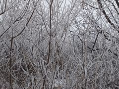 -香山公园