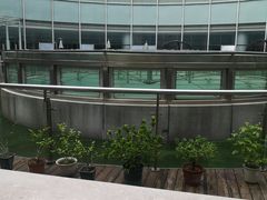 -金陵图书馆