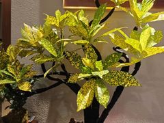 -酒蜻蜓·庭院私房菜(天元东路店)