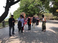 -金盆阿嬷香菇茶叶蛋(玄光店)