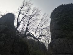 -山王坪喀斯特国家生态公园