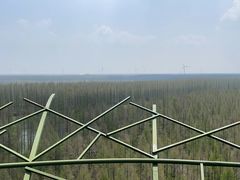 -黄海国家森林公园