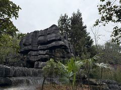 -梭布垭石林景区