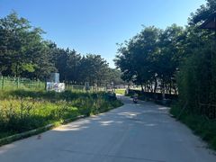 -养马岛旅游度假区
