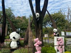 -云溪植物园