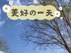 -国强手抓(西夏区店)