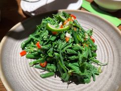 清炒豌豆尖-金孔雀德宏傣味餐馆(魏公村店)
