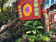 -绿光森林餐厅
