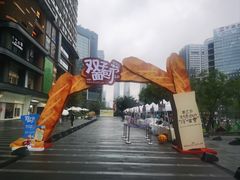 -合景·悠方(成都店)