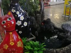 -猫咪博物馆(顶澳仔猫街店)