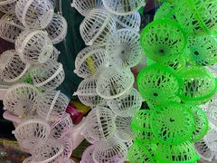 -双季花艺园艺市场(浦东店)