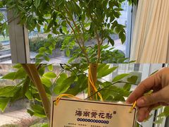 -精德口腔·种植修复·儿牙中心(财富中心店)