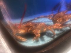 -阿伟海鲜楼·福建菜(延寿店)