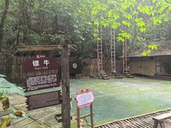 -西双版纳基诺山寨