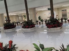 -中国人民解放军总医院